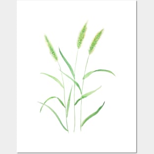 Green Setaria watercolor painting Posters and Art